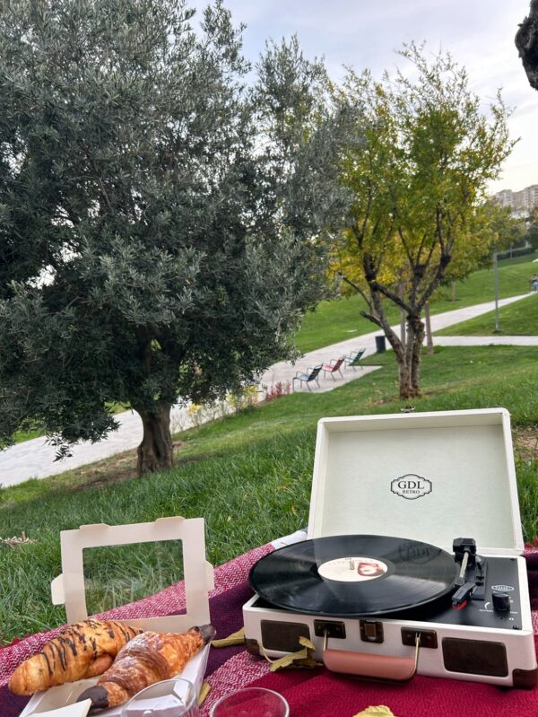 Gramofon-val oxuducu | retro pikap GDL | Nostolji musiqi - Image 6