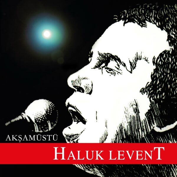 Haluk Levent (Elfida) - Plak (Vinyl) Plastinka LP Bakıda satış
