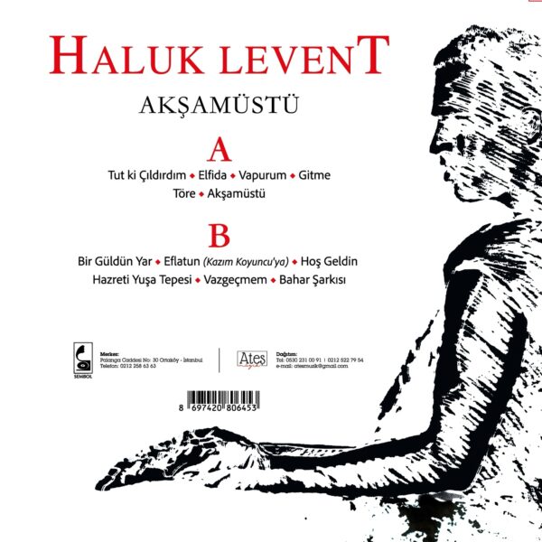 Haluk Levent (Elfida) - Plak (Vinyl) Plastinka LP Bakıda satış - Image 2